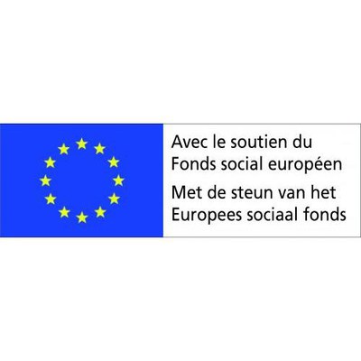 Logo FSE